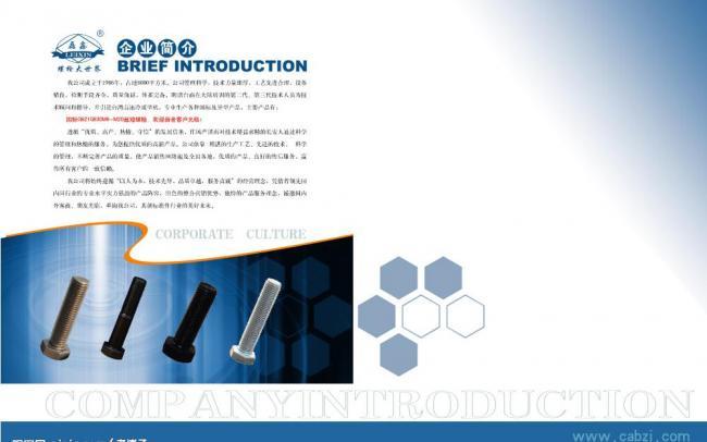 企業(yè)畫冊(cè)封2與P1 視覺序章的藝術(shù)
